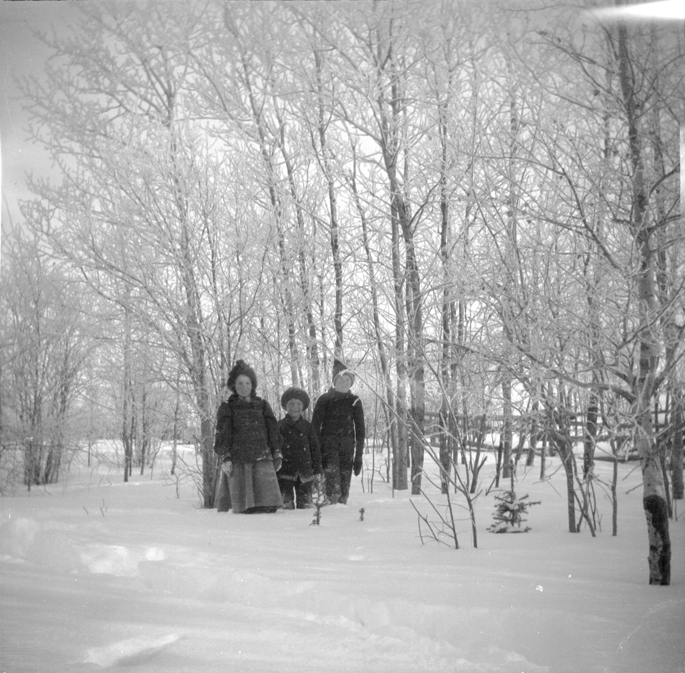 Historical winter homestead photograph from the Spruce Grove district